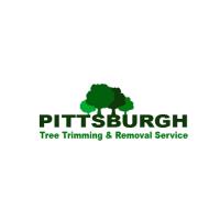 Pittsburgh Tree Trimming & Removal Service image 1