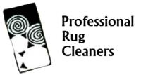 Professional Rug Cleaners image 3