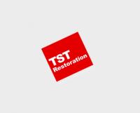 The Steam Team/TST Restoration image 1