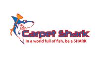 Carpet Shark image 3
