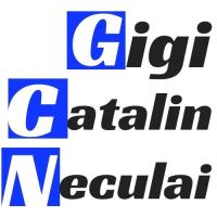 Gigi Catalin Neculai image 1