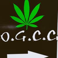 Ocean Grown Cannabis Company image 7