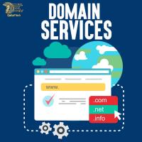 Best Domain services all over the world image 1