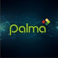 Palma Financial Services, Inc. image 1