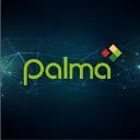 Palma Financial Services, Inc. logo