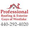 Professional Roofing & Exterior Guys of Westlake logo