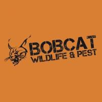 Bobcat Wildlife & Pest Management image 1