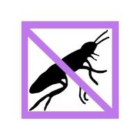 Lavender Pest Control image 1