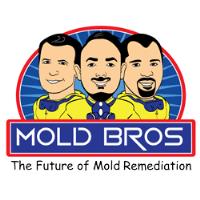 Mold Bros image 1