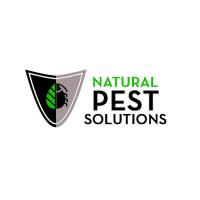 Natural Pest Solutions San Tan Valley image 1