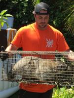 All City Animal Trapping image 11