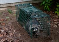 All City Animal Trapping image 20