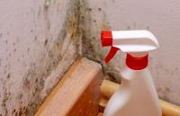 Mold Experts of Los Angeles image 1