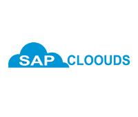 Online Server access for SAP HANA - Sapcloouds image 1