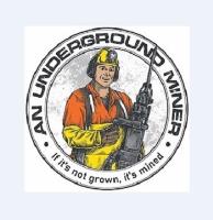 An Underground Miner image 4