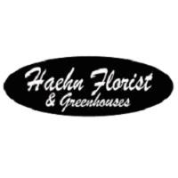 Haehn Florist, Greenhouses, & Flower Delivery image 1