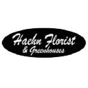 Haehn Florist, Greenhouses, & Flower Delivery logo
