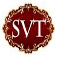 SVT HAIR image 1