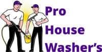 Pro House Washers LLC image 1