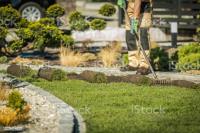 Panancalandro's Landscaping Services image 1
