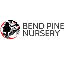 Bend Pine Nursery logo