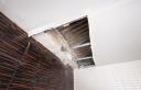 Water Damage Experts of Fort Myers logo