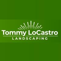 Tommy LoCastro Landscaping image 1
