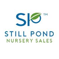 Still Pond Nursery Sales image 1