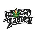 Blazin Janes logo