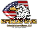 Eagle Eye Security & Surveillance, LLC image 1
