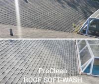 Tampa Bay Roof Cleaning image 3