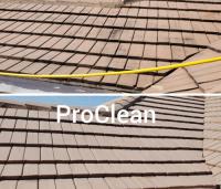Tampa Bay Roof Cleaning image 4
