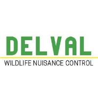 DelVal Wildlife Nuisance Control image 1