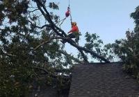 All American Tree Service Asheville NC image 2