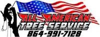 All American Tree Service Asheville NC image 5