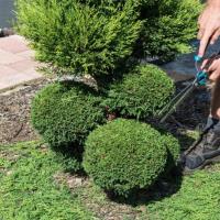 Midstate Landscaping - Landscapers in Carlisle, PA image 3