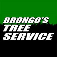 Brongo's Tree Service, LLC image 1