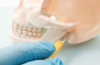 Periodontal Specialists, P.A. image 9