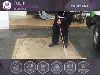 Tulip Carpet Cleaning Elkridge image 5