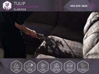 Tulip Carpet Cleaning Elkridge image 6