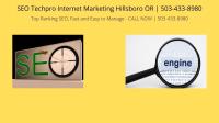 SEO Techpro Internet Marketing Hillsboro OR image 4