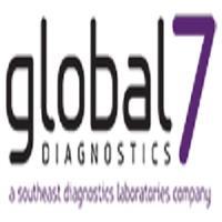 Global 7 Diagnostics   image 3