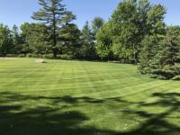 ProGreen Lawn Service. image 2