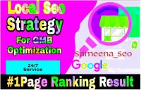 Marketing  Sameena seo  image 3