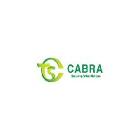 CABRA Technology Systems Inc image 1