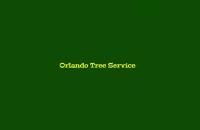 Orlando Tree Service image 2