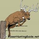 DeerHuntingGuide.net logo