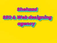 Shehzad SEO and Web designing agency image 1