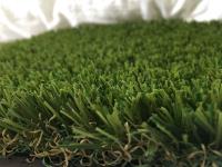 FusionTurf image 2