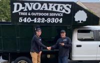 D-Noakes Tree & Outdoor Services image 6